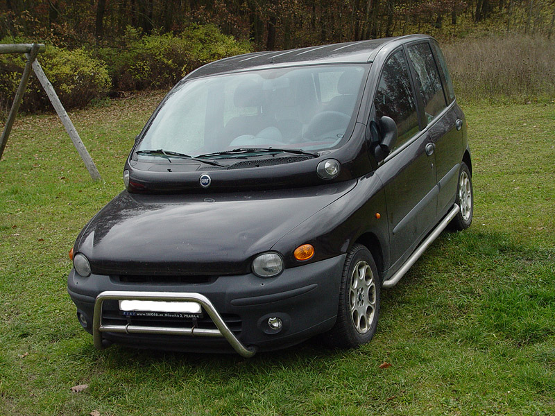 Multipla.jpg