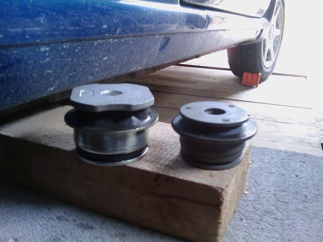 Toš toto sú tie hnusné svine, už ich nechcem nikdy ani vidieť