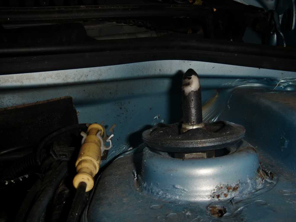CIMG1850a.jpg
