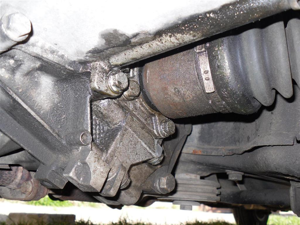 SAM_0795 (Large).JPG